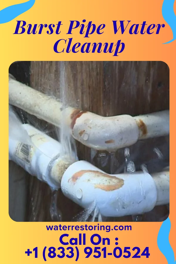 Burst Pipe Water Cleanup in Rochelle, IL
