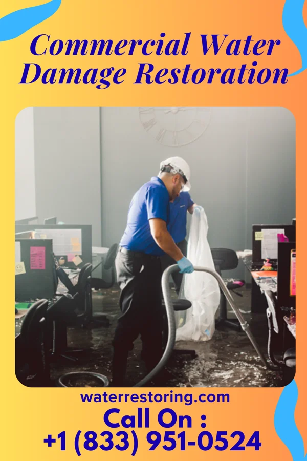 Commercial Water Damage Restoration in Rochelle, IL