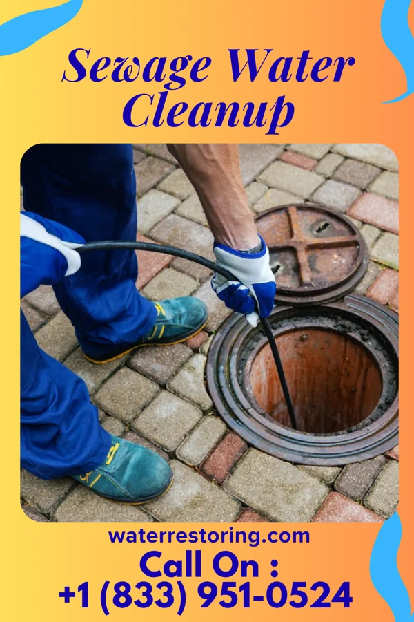 Sewage Water Cleanup in Rochelle, IL